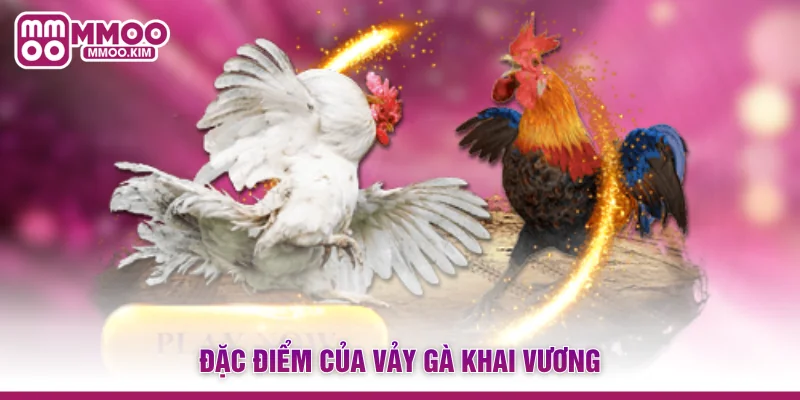 Đặc điểm của vảy gà khai vương